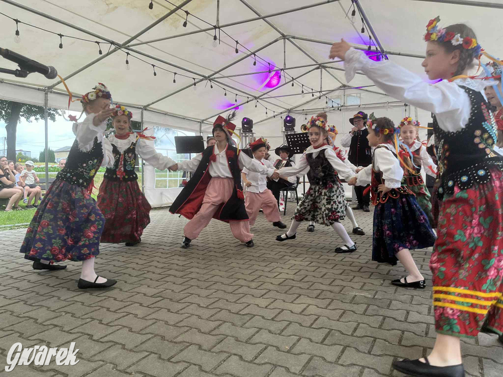 Druhowie z Wilkowic świętują jubileusz 90-lecia