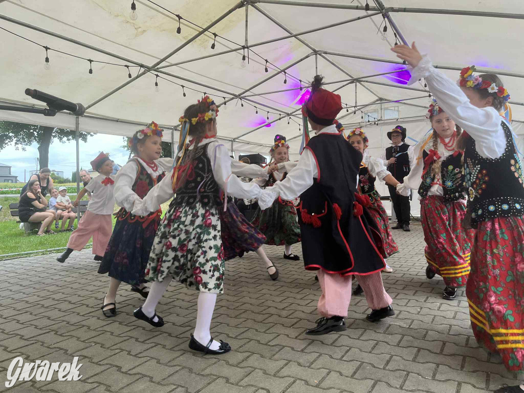 Druhowie z Wilkowic świętują jubileusz 90-lecia