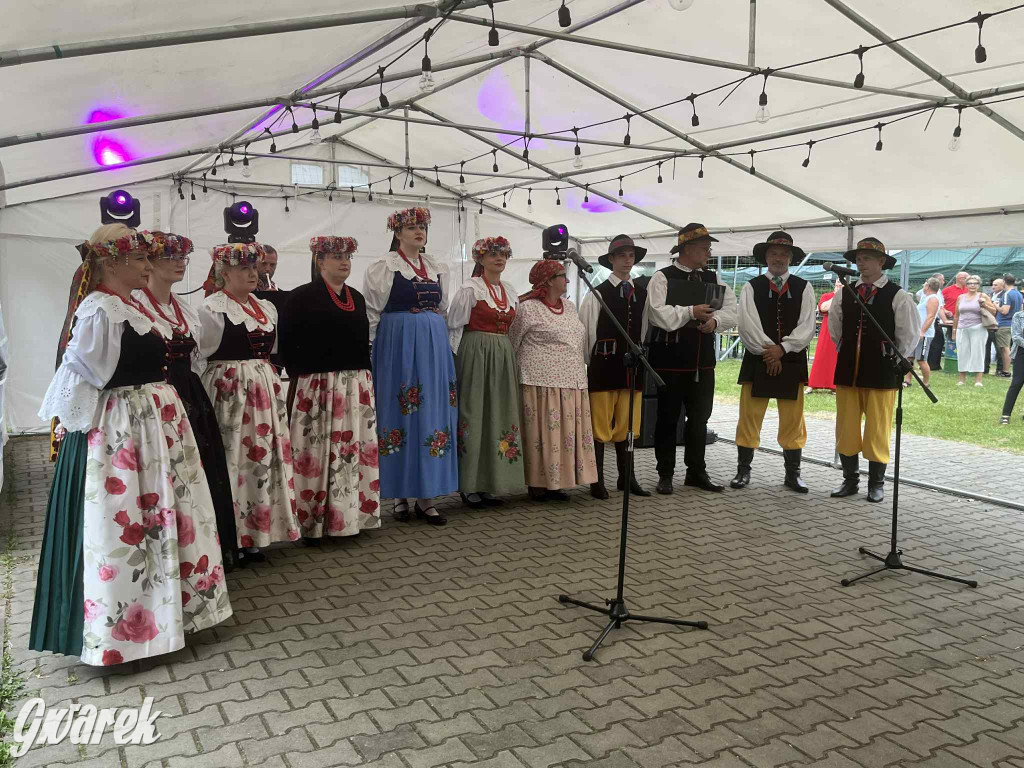 Druhowie z Wilkowic świętują jubileusz 90-lecia