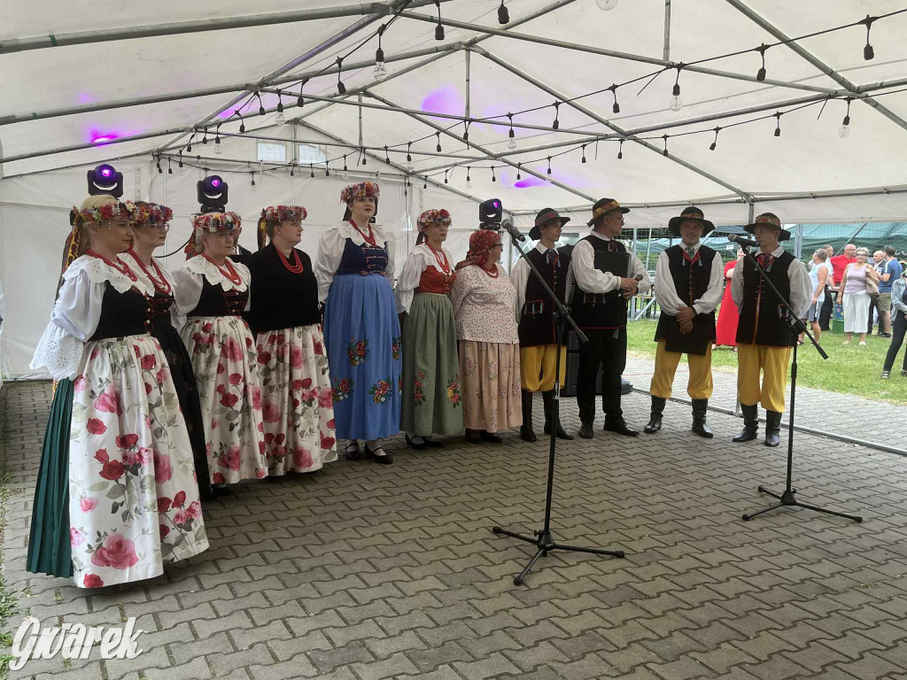 Druhowie z Wilkowic świętują jubileusz 90-lecia