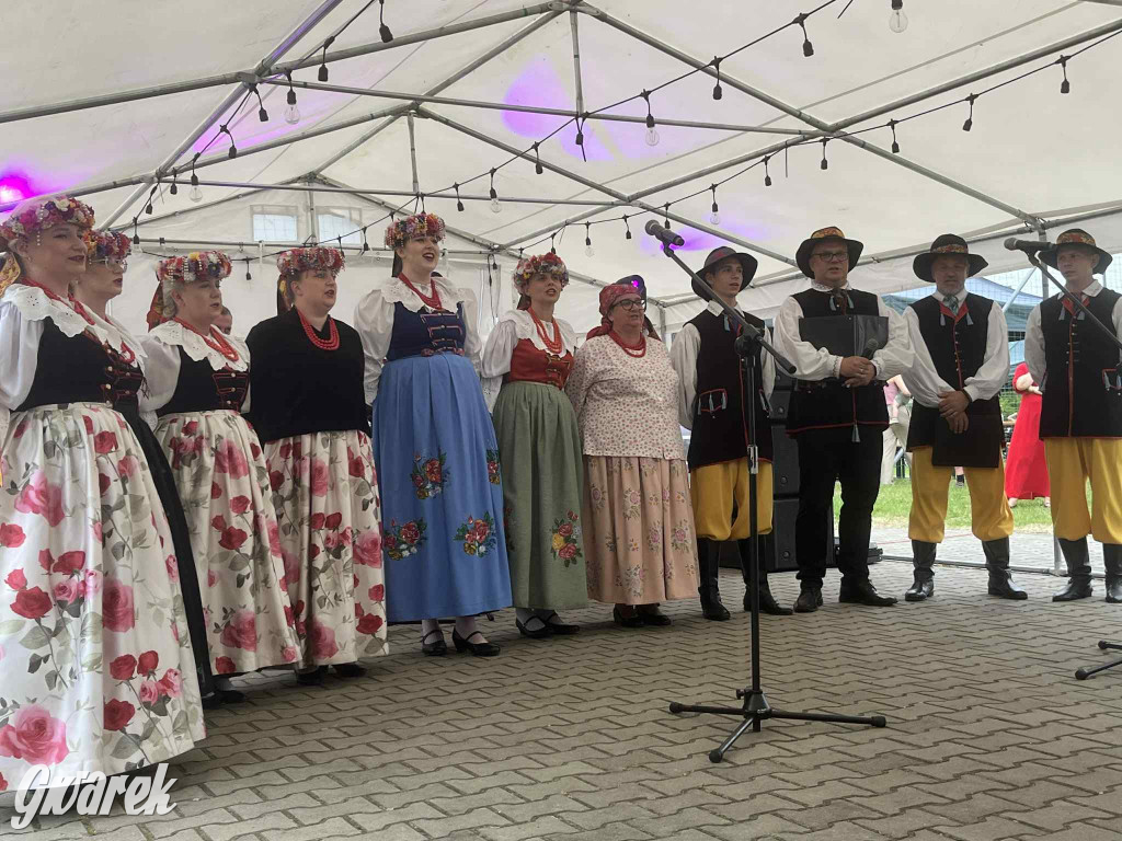 Druhowie z Wilkowic świętują jubileusz 90-lecia