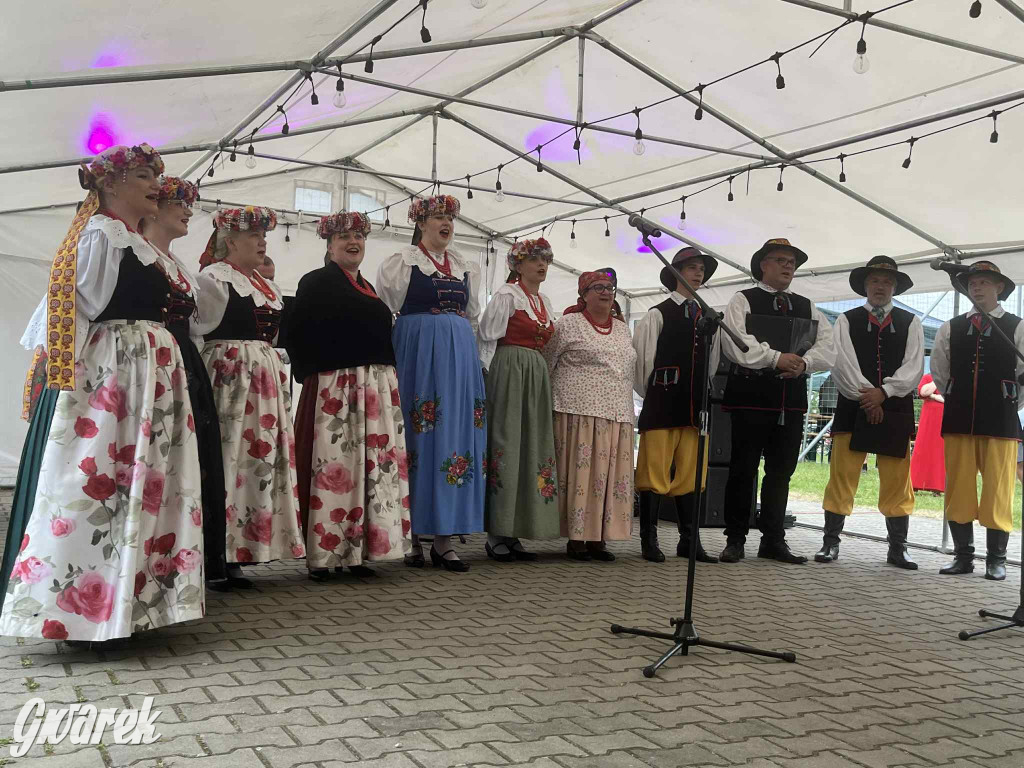 Druhowie z Wilkowic świętują jubileusz 90-lecia