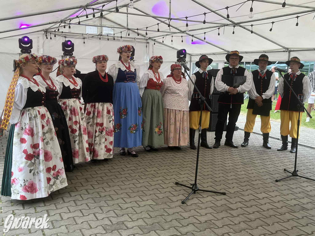 Druhowie z Wilkowic świętują jubileusz 90-lecia