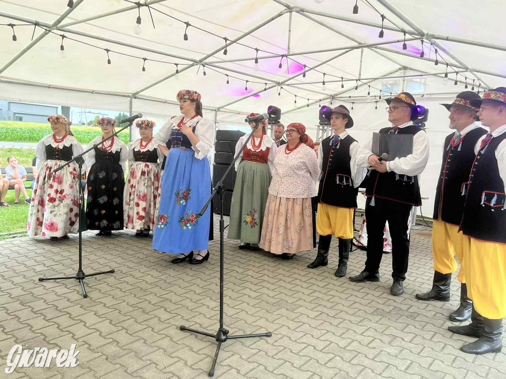 Druhowie z Wilkowic świętują jubileusz 90-lecia