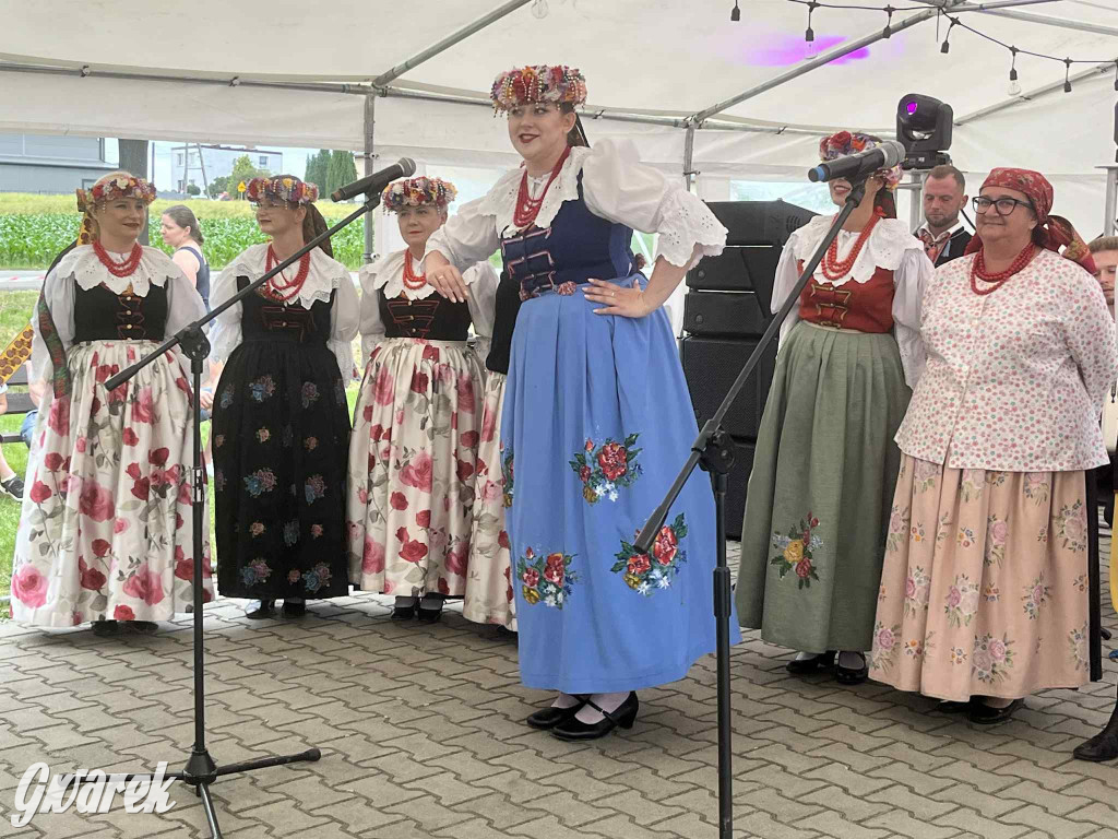 Druhowie z Wilkowic świętują jubileusz 90-lecia