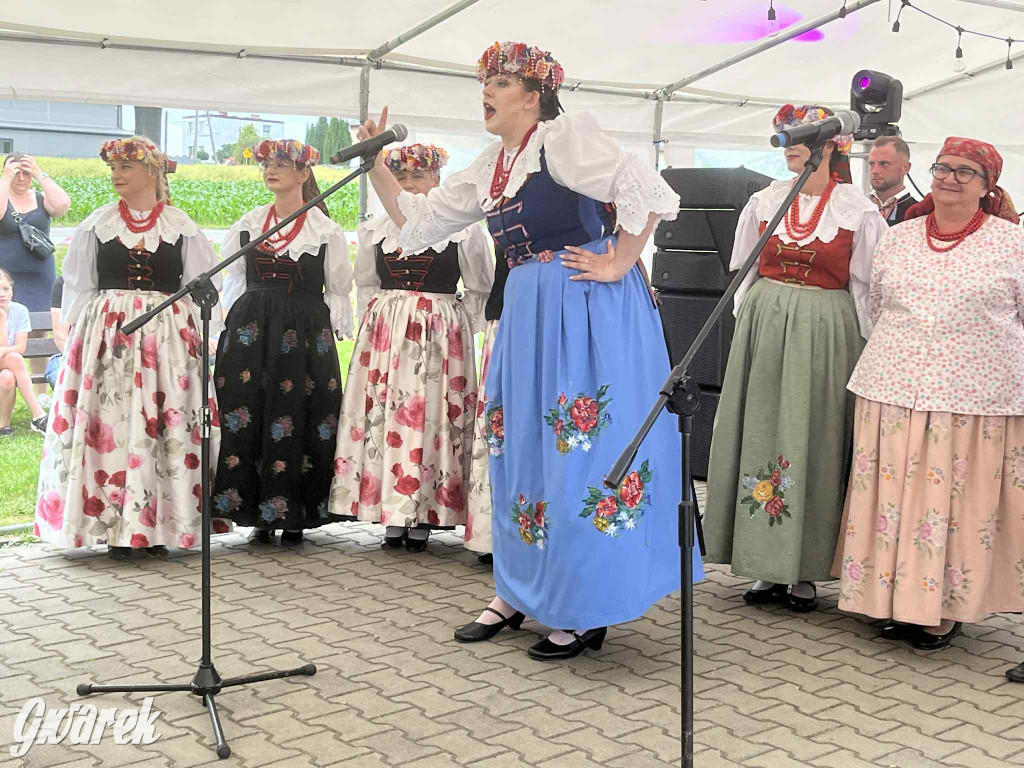 Druhowie z Wilkowic świętują jubileusz 90-lecia