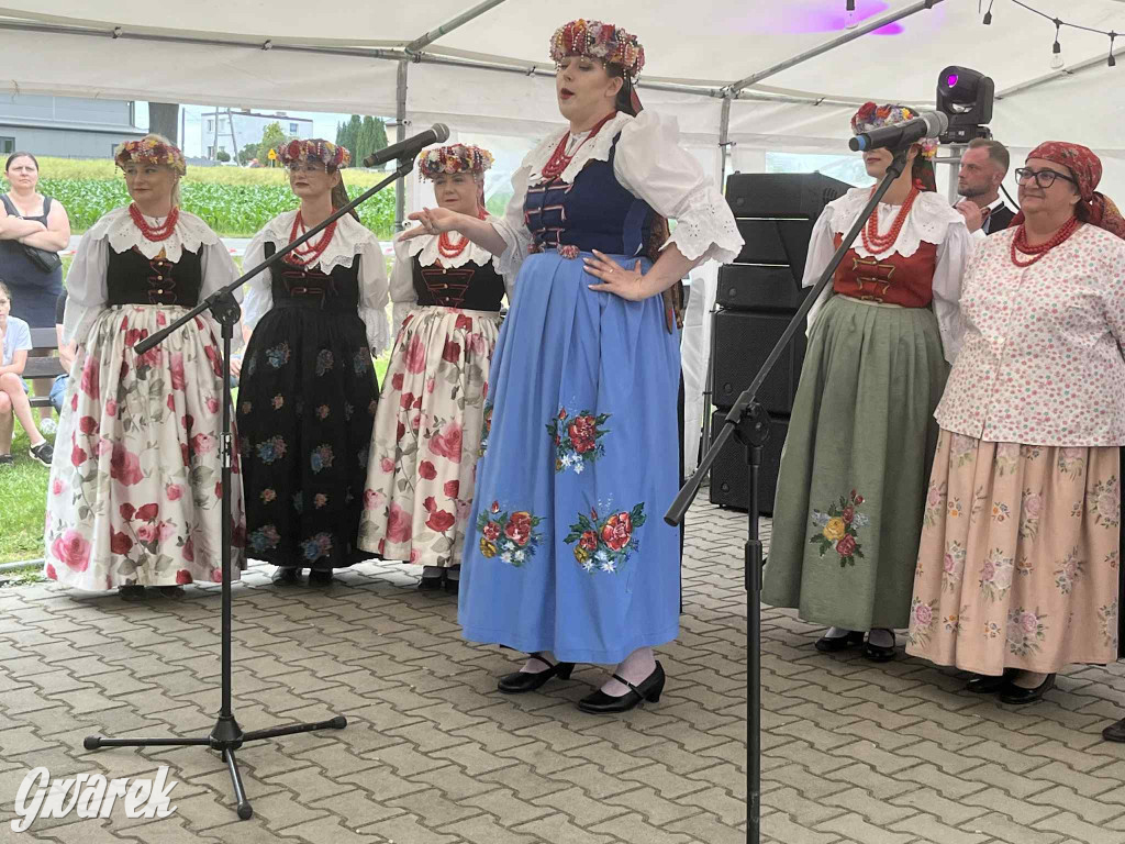 Druhowie z Wilkowic świętują jubileusz 90-lecia