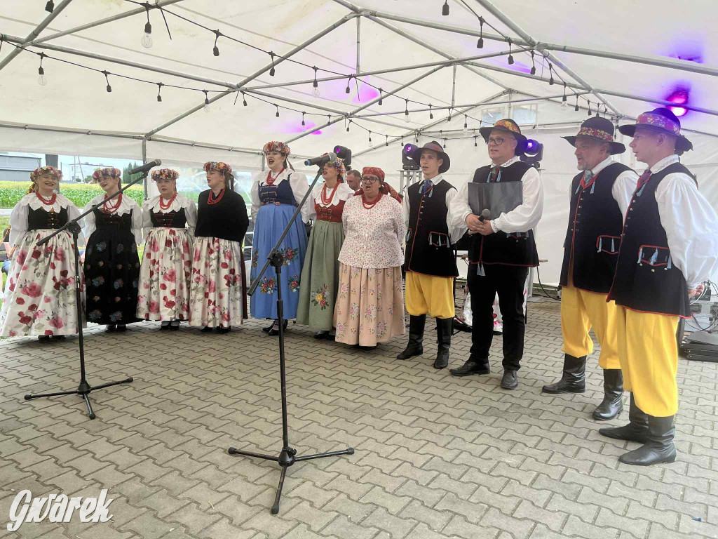 Druhowie z Wilkowic świętują jubileusz 90-lecia