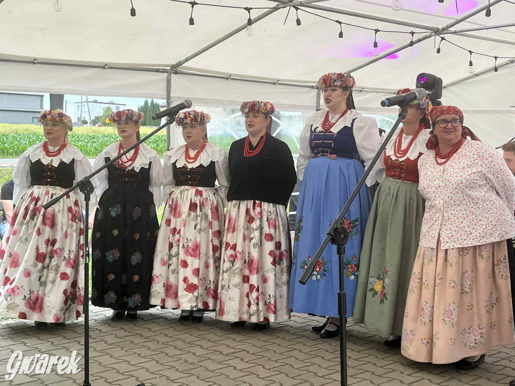 Druhowie z Wilkowic świętują jubileusz 90-lecia