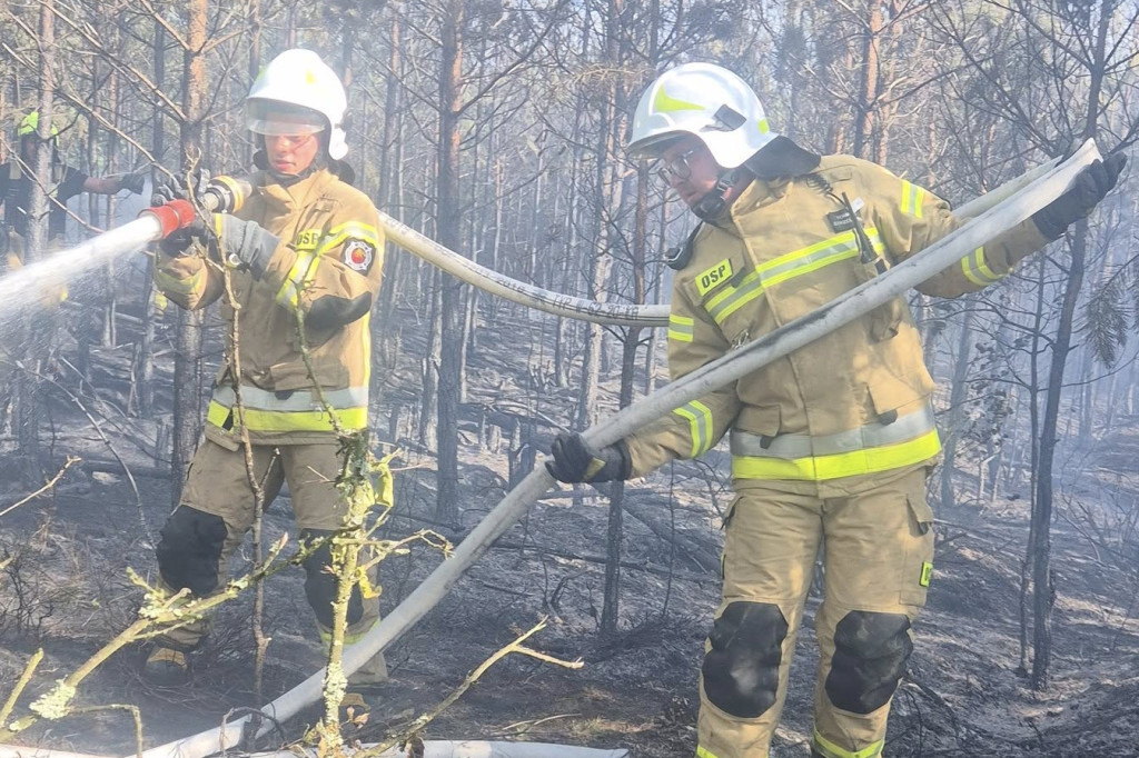 Trudna akcja gaśnicza. W użyciu dromader i śmigłowiec