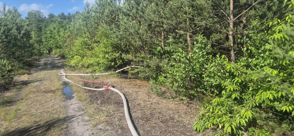 Trudna akcja gaśnicza. W użyciu dromader i śmigłowiec