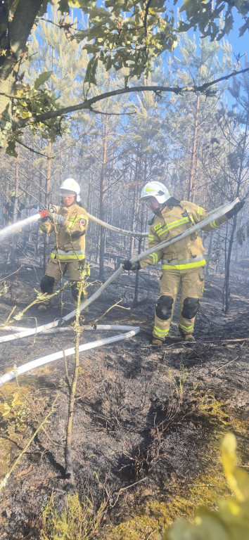 Trudna akcja gaśnicza. W użyciu dromader i śmigłowiec