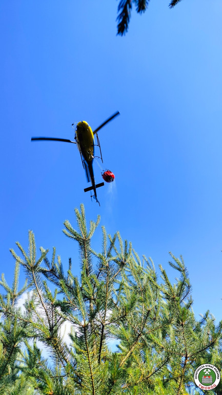 Trudna akcja gaśnicza. W użyciu dromader i śmigłowiec