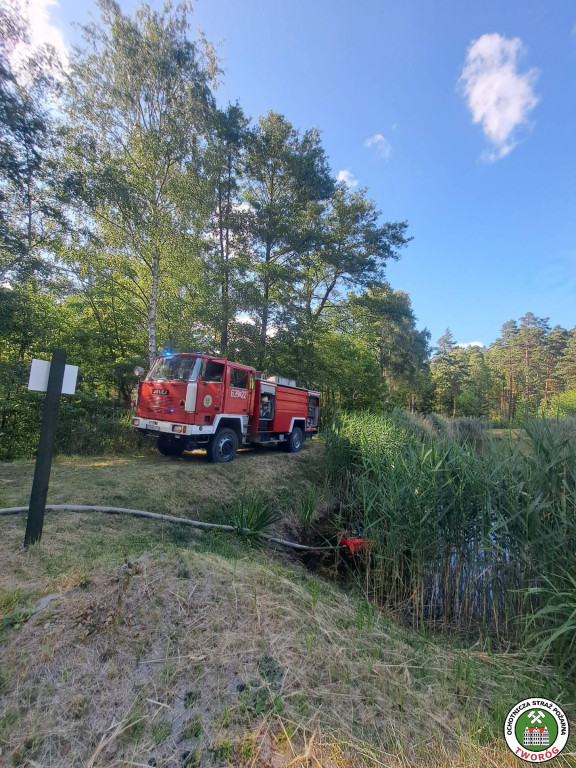 Trudna akcja gaśnicza. W użyciu dromader i śmigłowiec