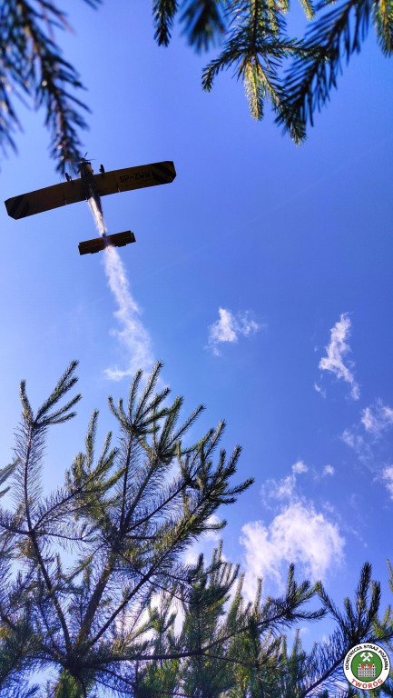 Trudna akcja gaśnicza. W użyciu dromader i śmigłowiec