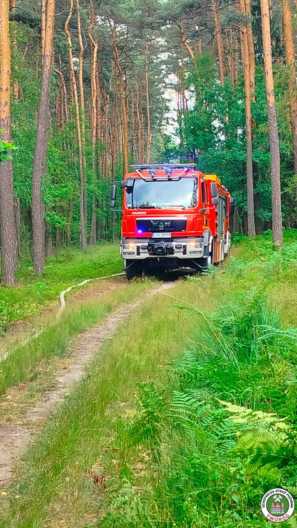 Trudna akcja gaśnicza. W użyciu dromader i śmigłowiec