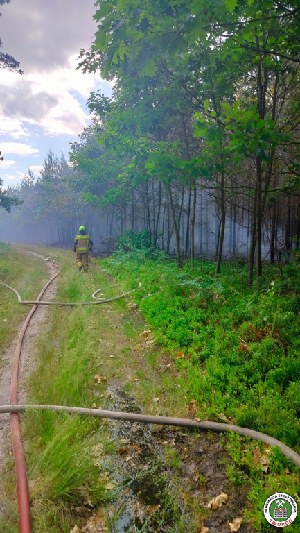 Trudna akcja gaśnicza. W użyciu dromader i śmigłowiec