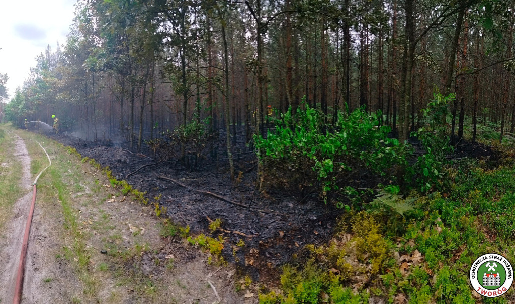 Trudna akcja gaśnicza. W użyciu dromader i śmigłowiec
