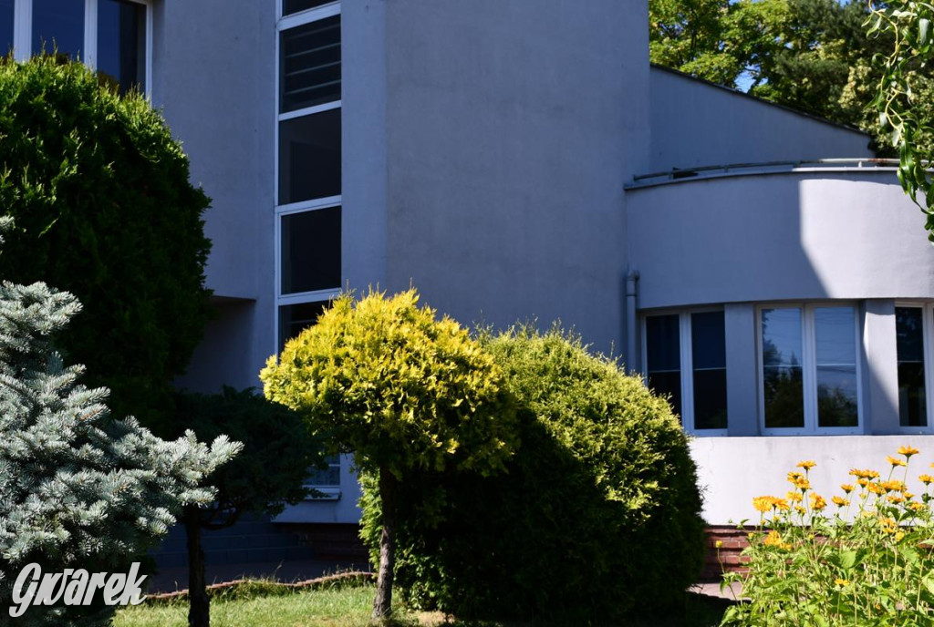 Mikrowyprawa po Radzionkowie. Śladami Ziętka