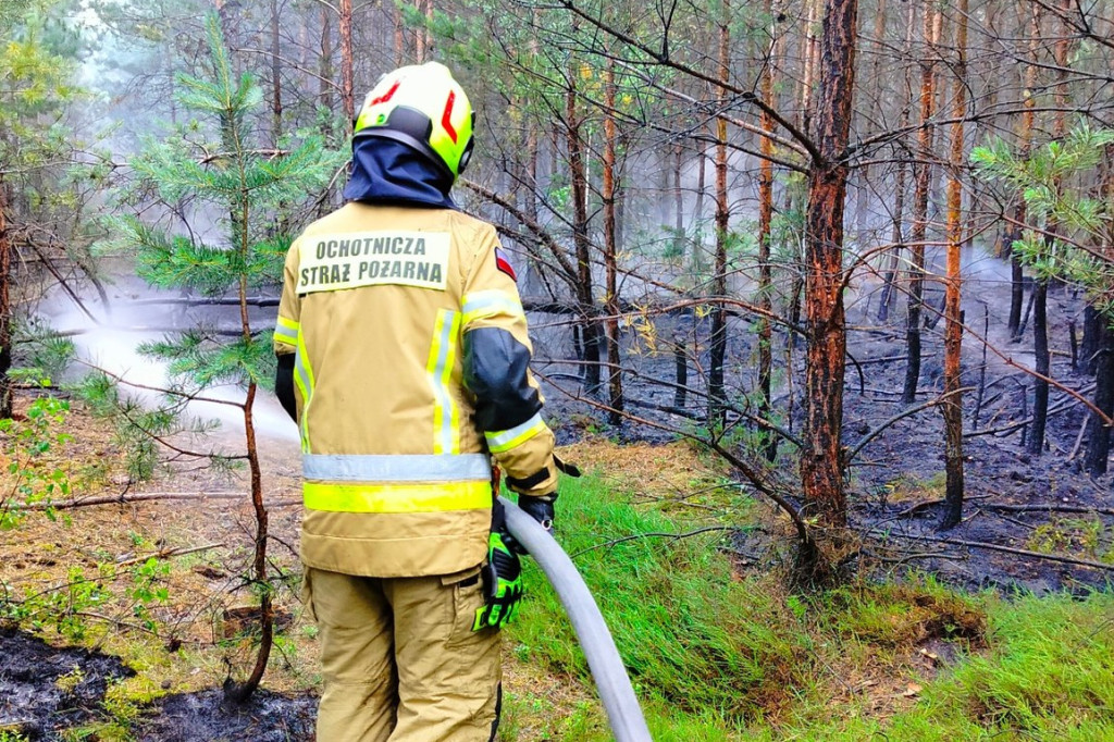 Rano w Tworogu wybuchł pożar lasu