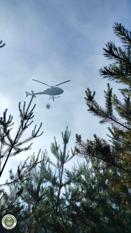 Rano w Tworogu wybuchł pożar lasu