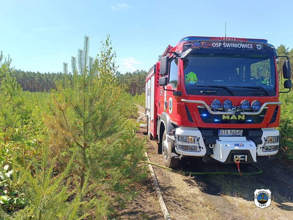 Rano w Tworogu wybuchł pożar lasu