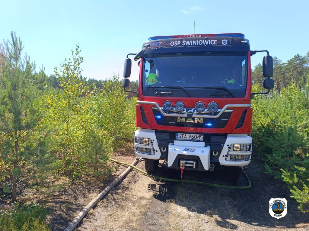 Rano w Tworogu wybuchł pożar lasu