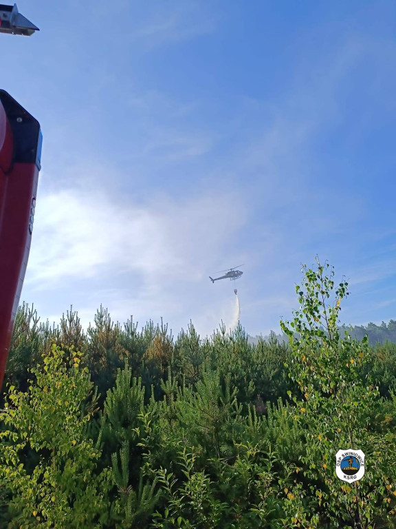 Rano w Tworogu wybuchł pożar lasu