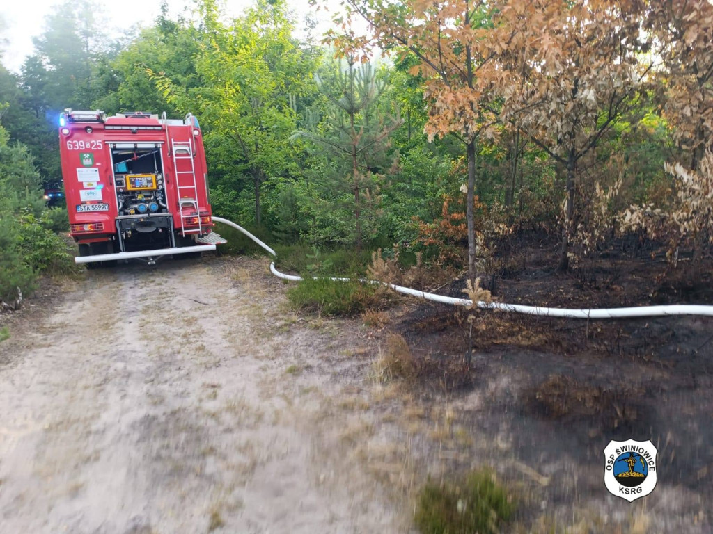 Rano w Tworogu wybuchł pożar lasu