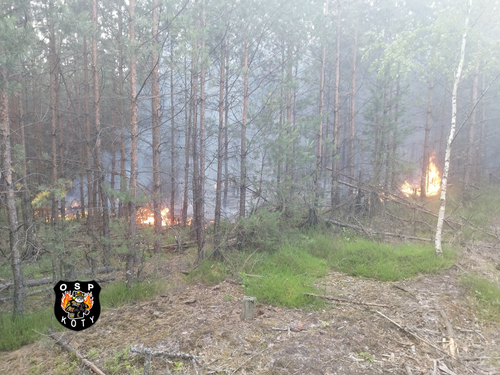 Rano w Tworogu wybuchł pożar lasu