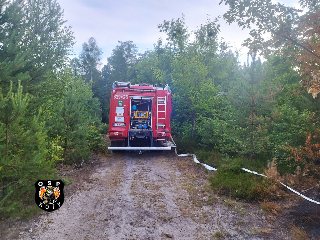 Rano w Tworogu wybuchł pożar lasu