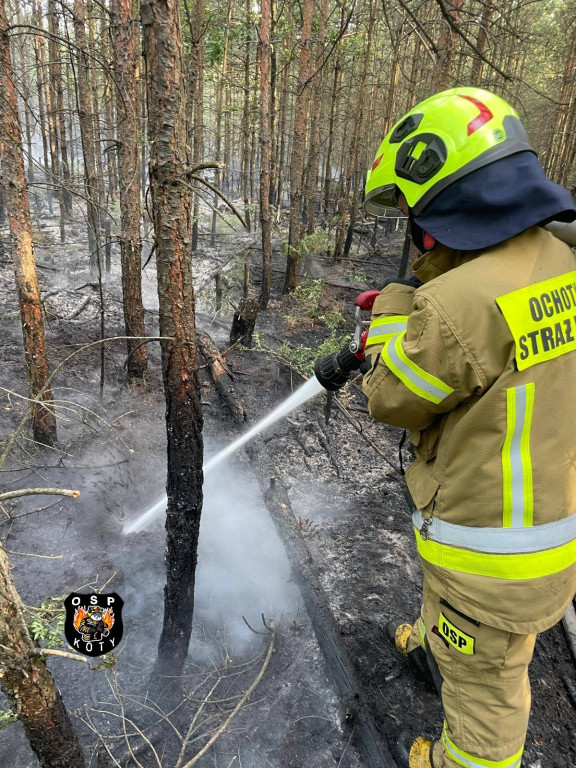 Rano w Tworogu wybuchł pożar lasu