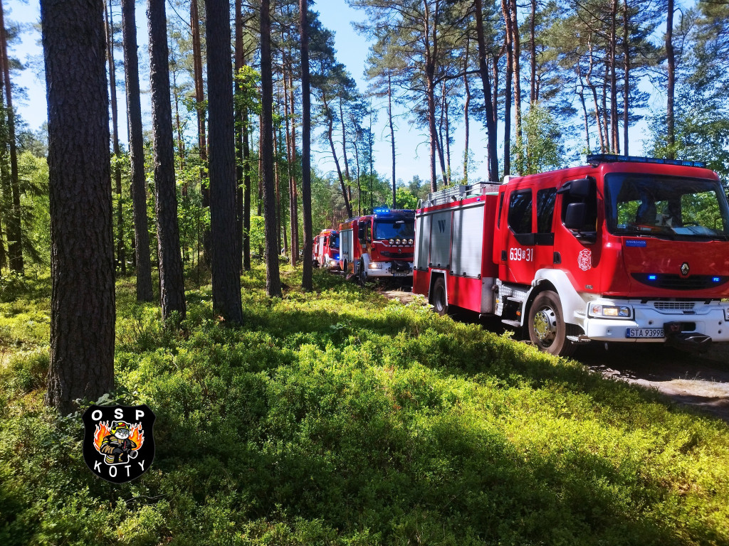 Rano w Tworogu wybuchł pożar lasu