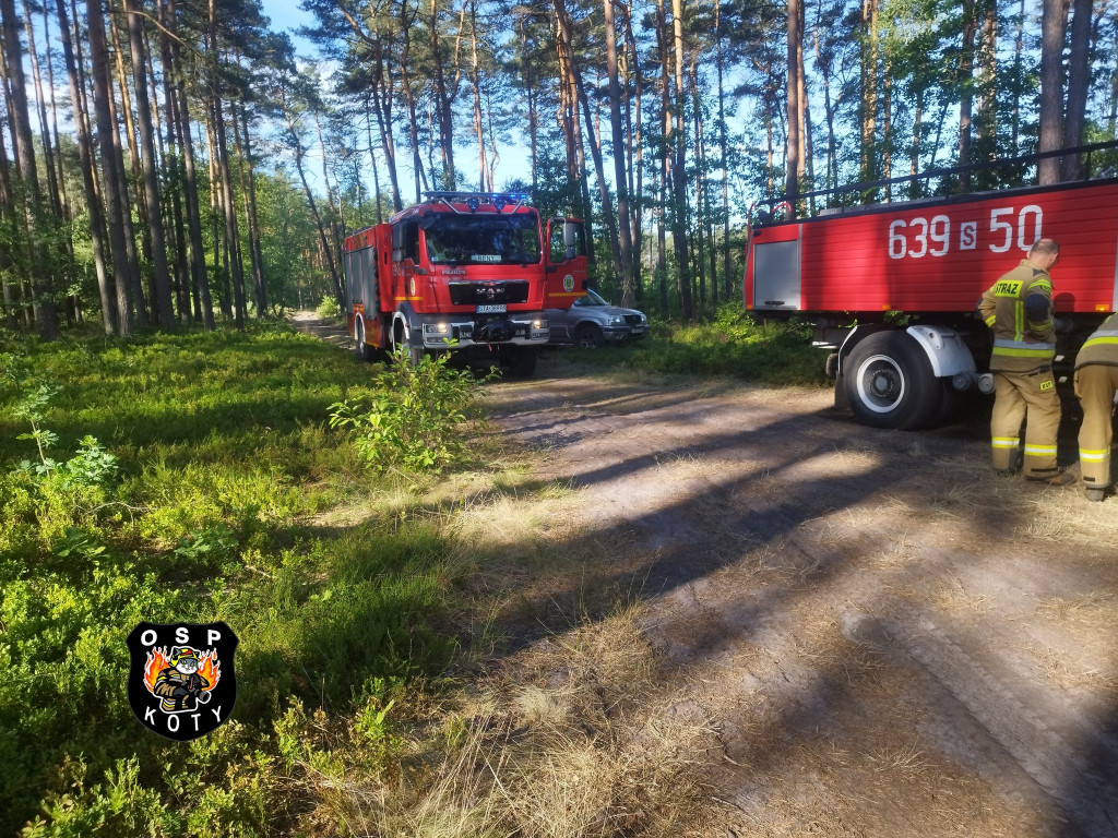 Rano w Tworogu wybuchł pożar lasu