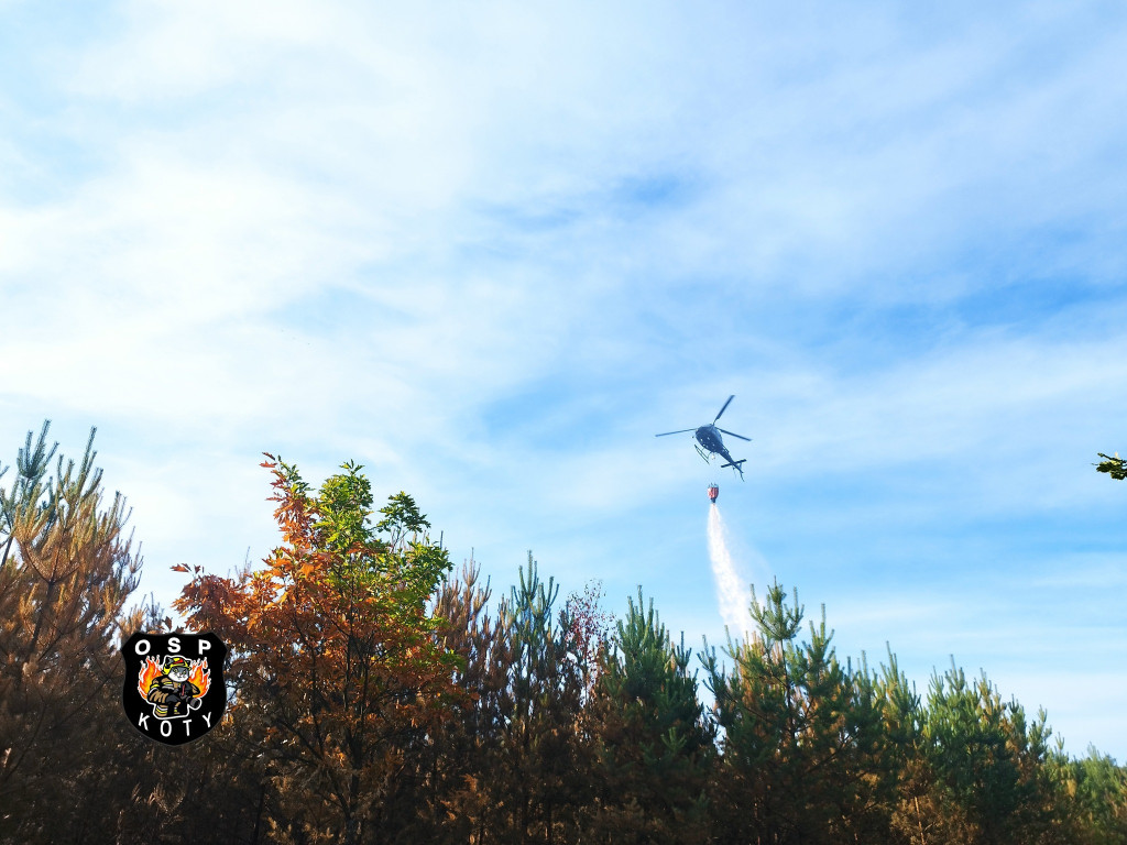 Rano w Tworogu wybuchł pożar lasu