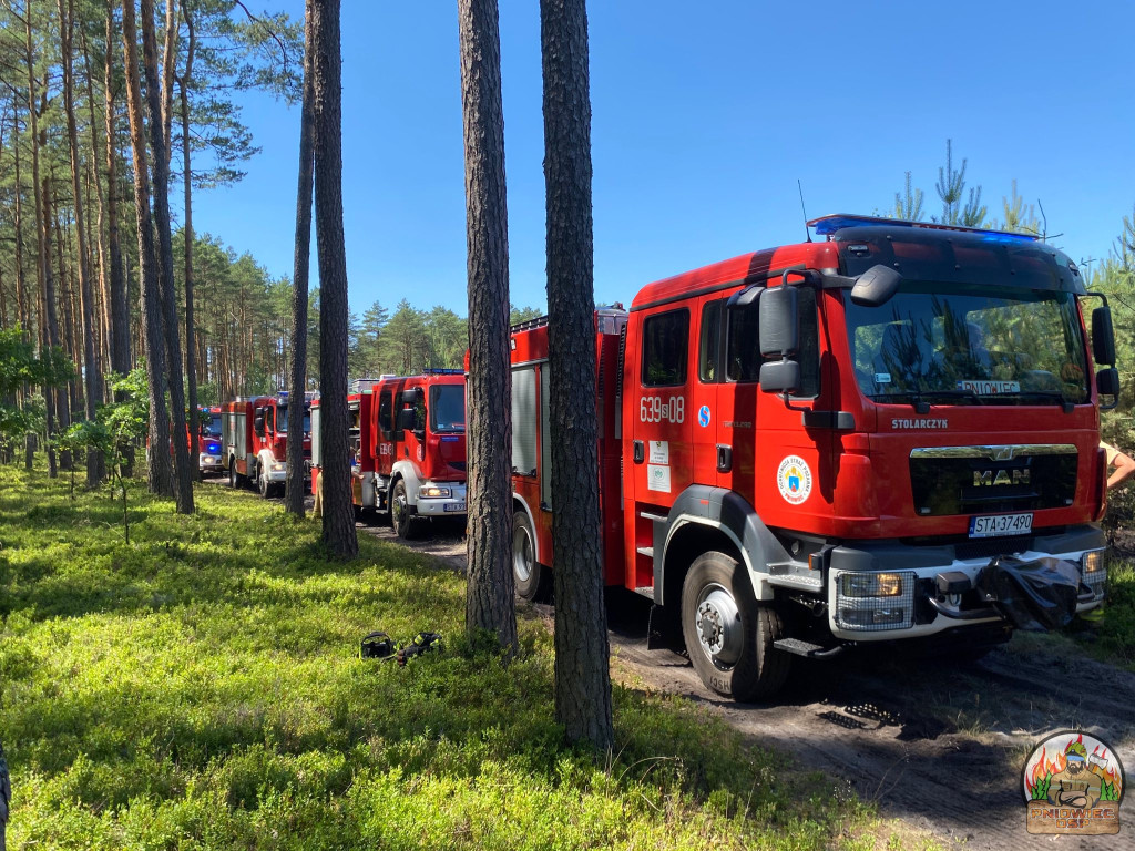Rano w Tworogu wybuchł pożar lasu