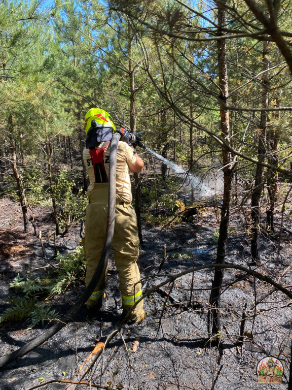 Rano w Tworogu wybuchł pożar lasu