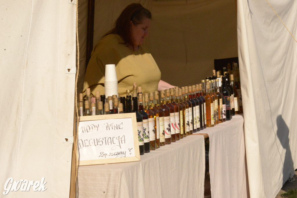 Najazd Barbarzyńców na zamek Ogrodzieniec