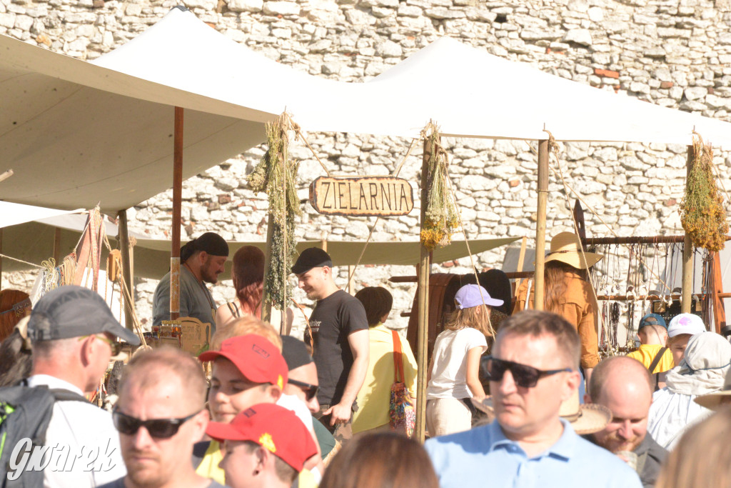 Najazd Barbarzyńców na zamek Ogrodzieniec