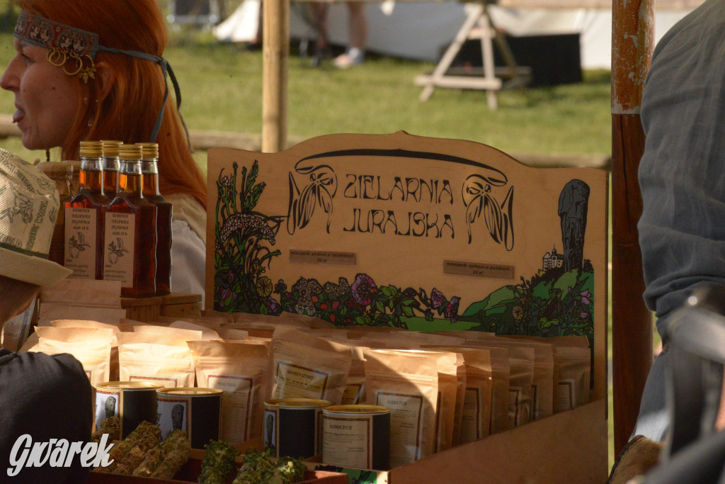 Najazd Barbarzyńców na zamek Ogrodzieniec