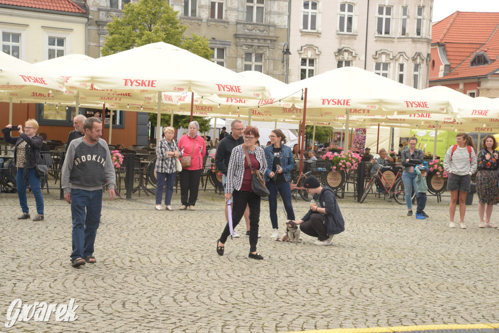 Barbórka w środku lata i jarmark rękodzieła