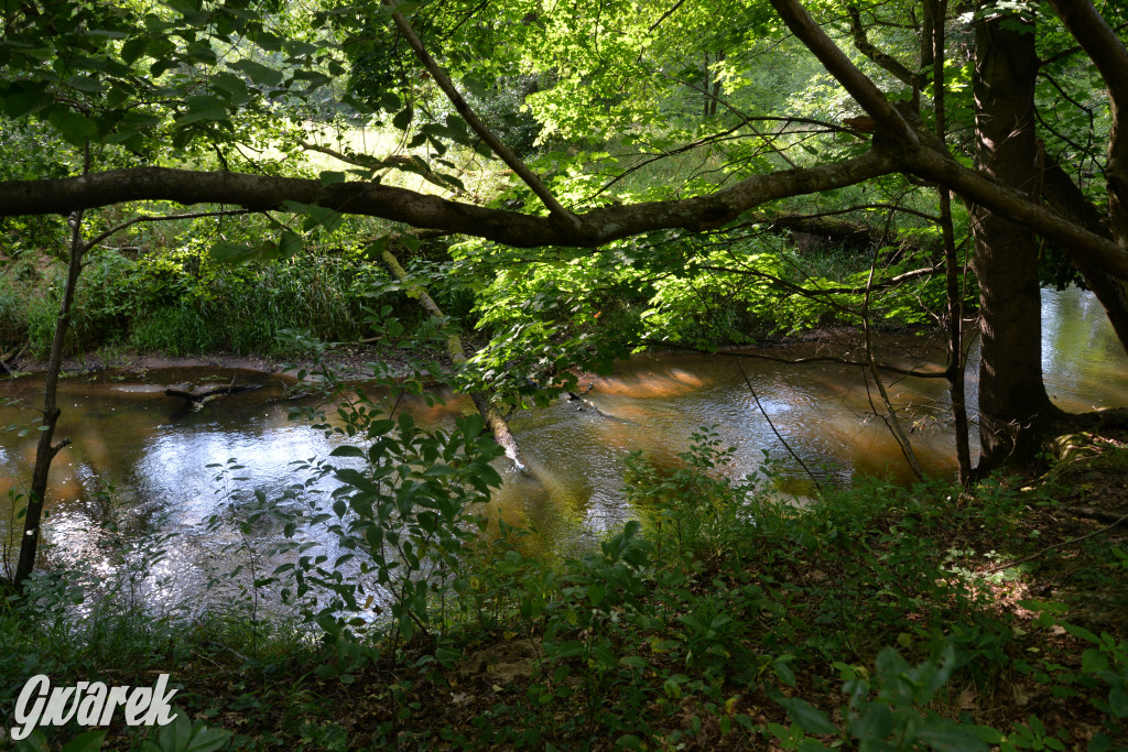 Była jak potępiona. Spacer po...