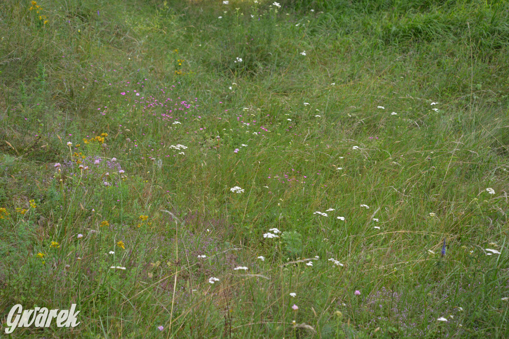 Była jak potępiona. Spacer po...