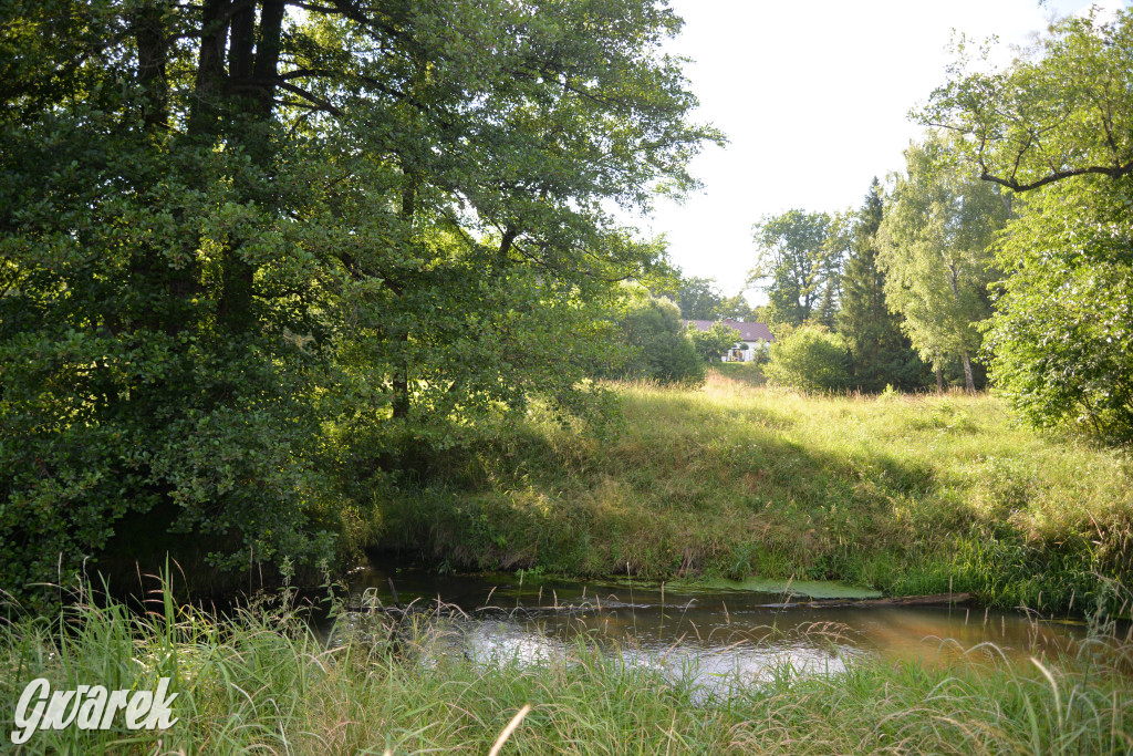 Była jak potępiona. Spacer po...