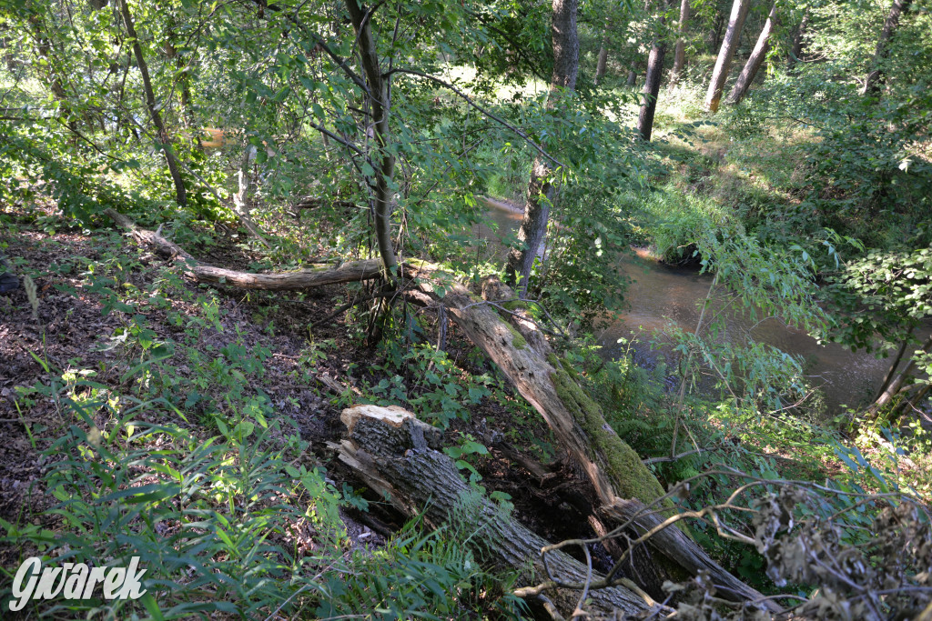 Była jak potępiona. Spacer po...