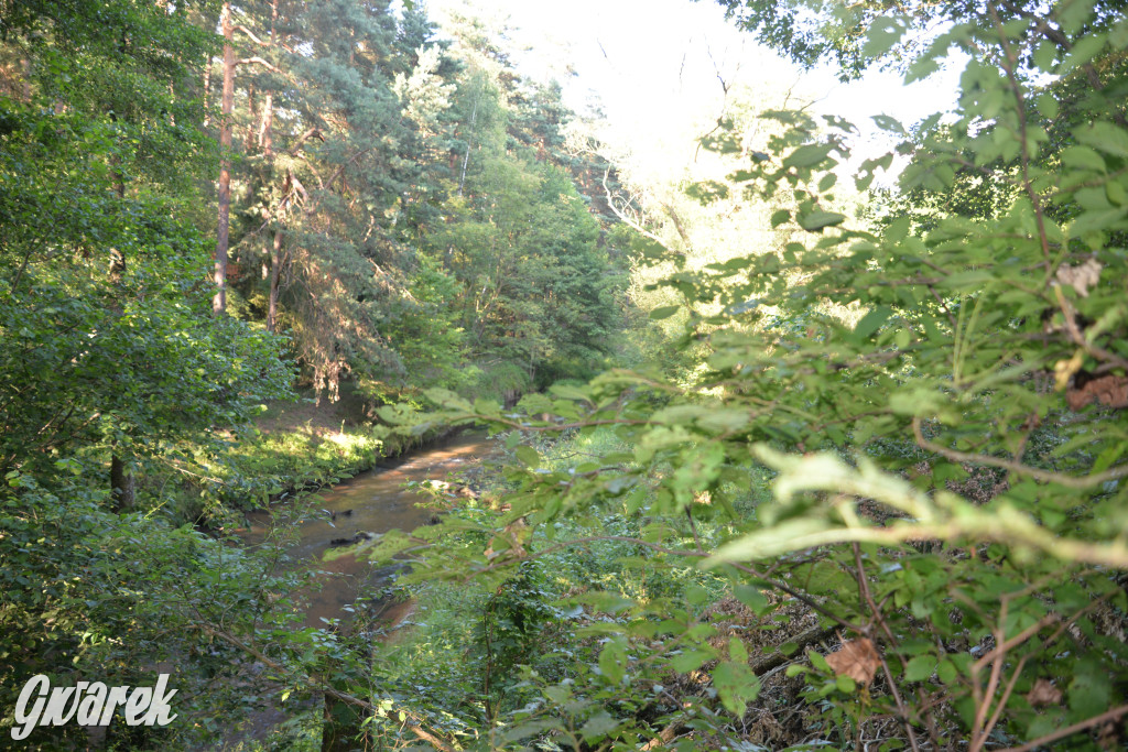 Była jak potępiona. Spacer po...