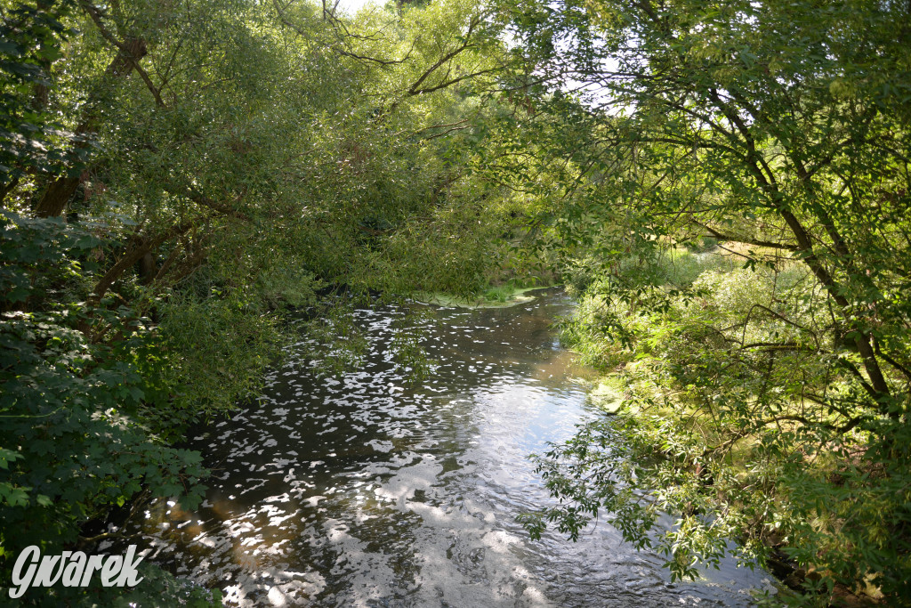 Była jak potępiona. Spacer po...