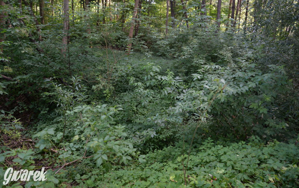 Była jak potępiona. Spacer po...