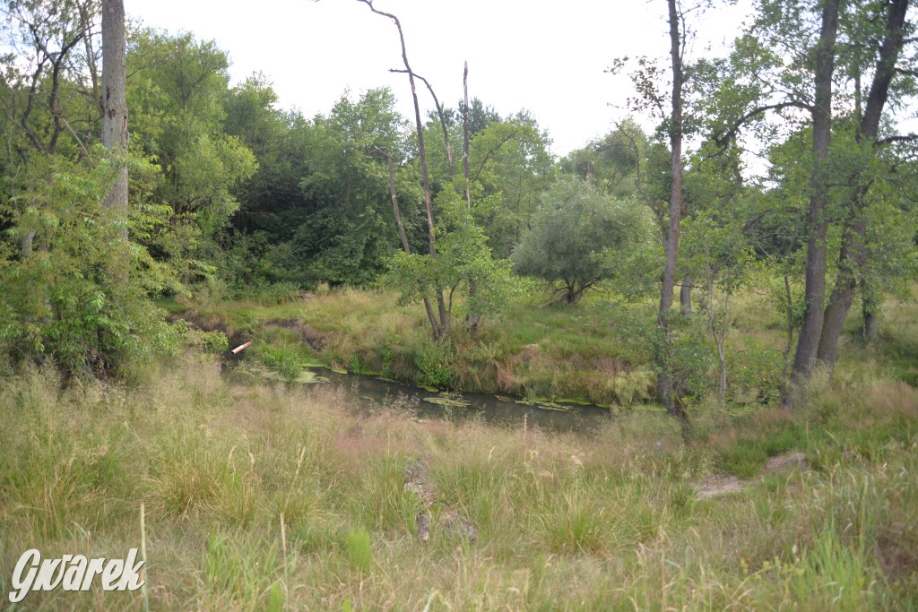 Była jak potępiona. Spacer po...