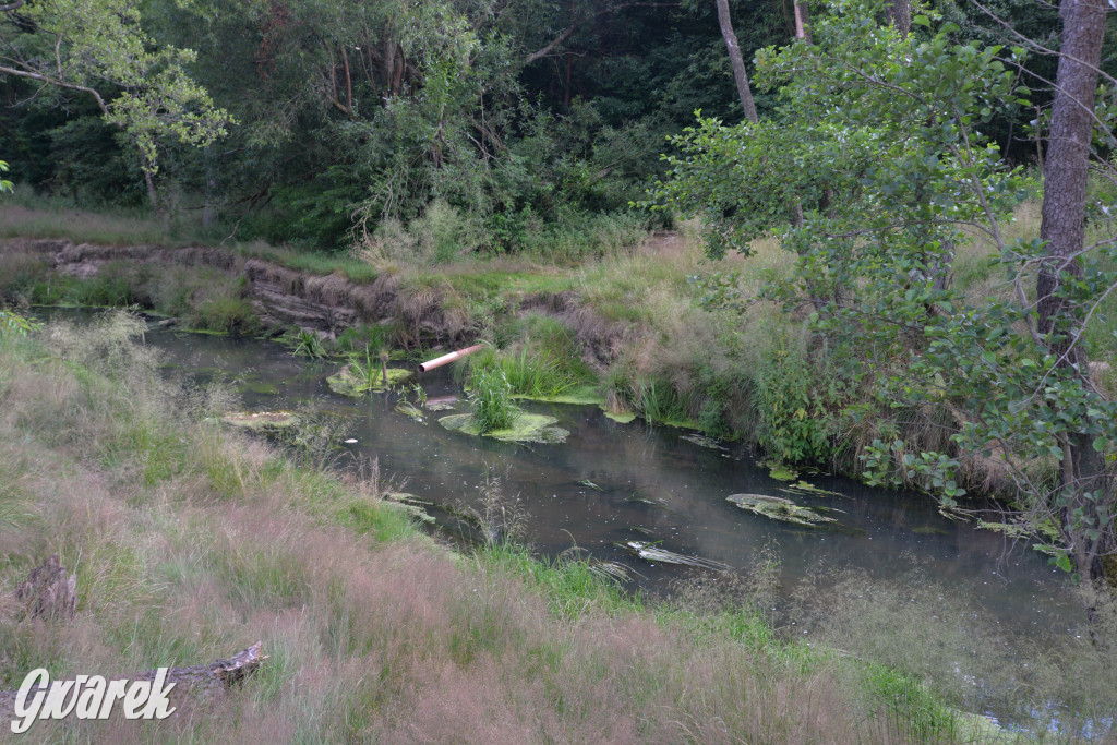 Była jak potępiona. Spacer po...
